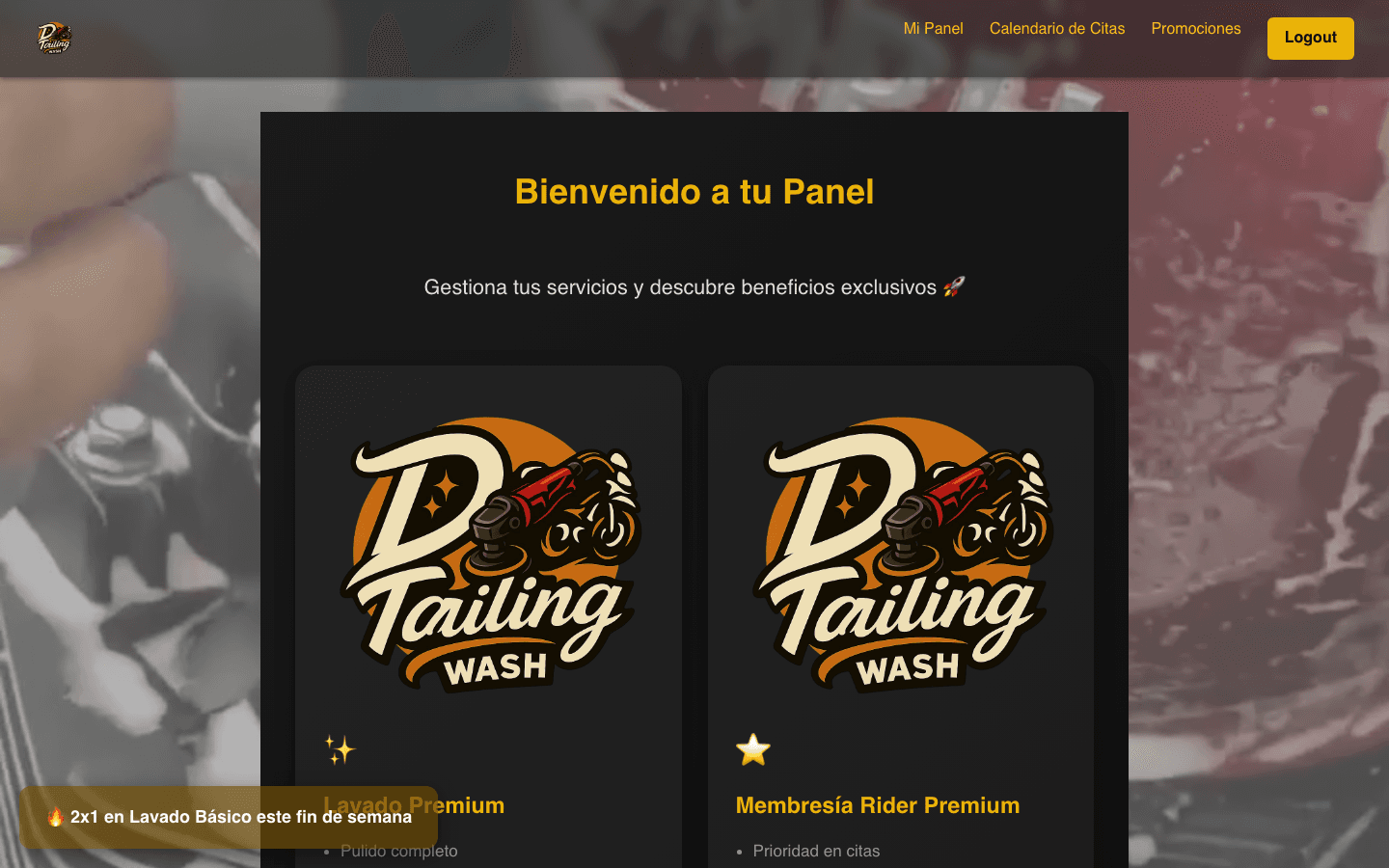 App cliente DT Wash — portal de servicios